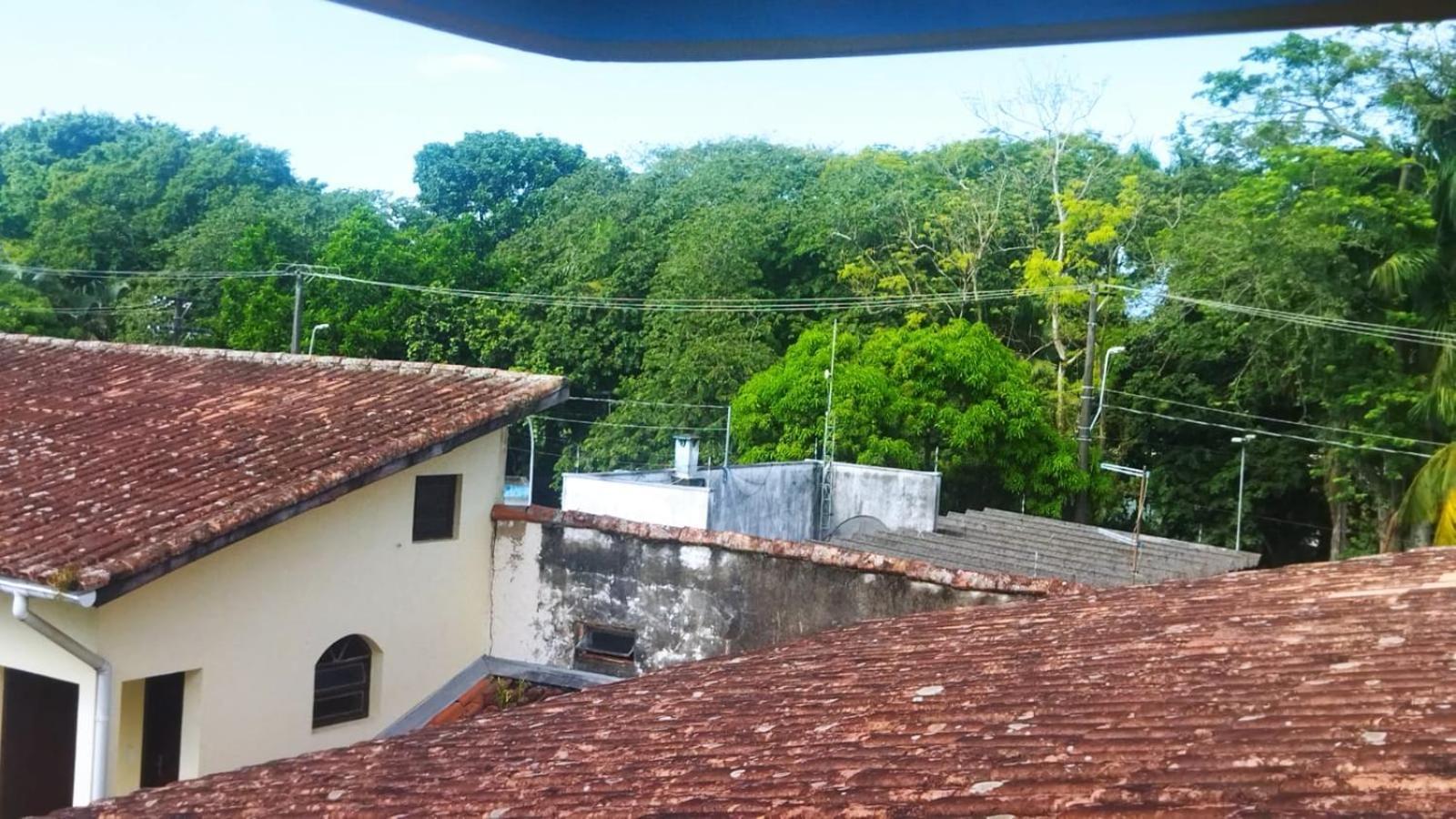 Primavera 3* Caraguatatuba